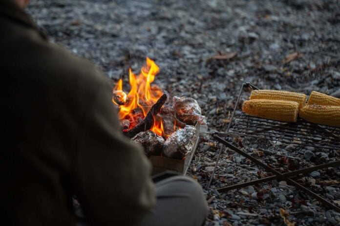 Wolf and Grizzly Fire Safe