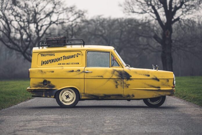 only fools and horses reliant robin